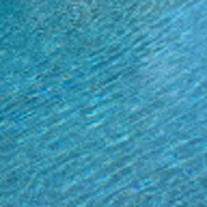 Meet your Posher, Abigail